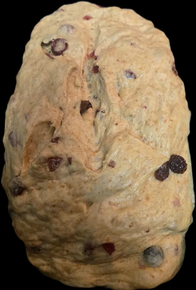 Raisin Loaf