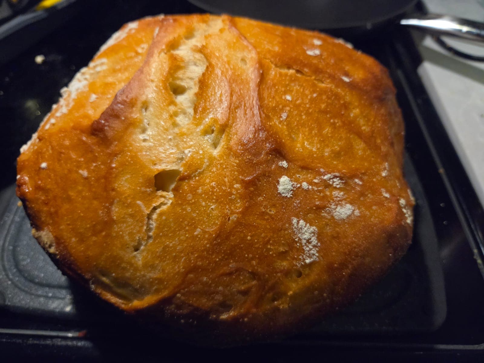 Dutch oven sourdough loaf