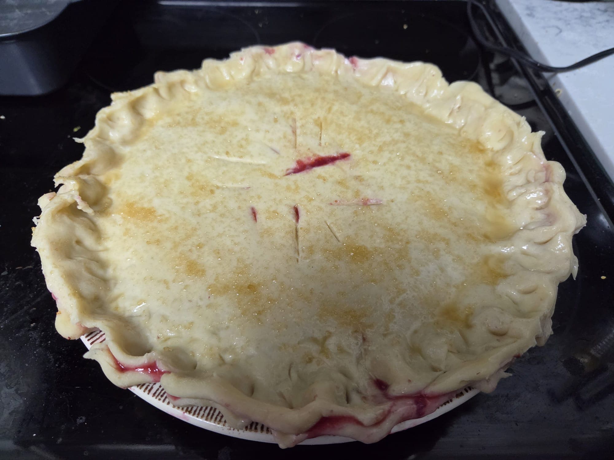 Fruit pie slice